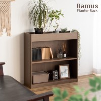 ڥ᡼ľۡԲġۡաֻԲġ̳ۡƻ졦ΥԲġ۵ Ω ץ󥿡å Ramus(顼ॹ) PS-750-BR