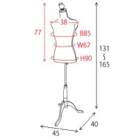 ڥ᡼ľۡԲġۡաֻԲġ̳ۡƻ졦ΥԲġ۵ 9極 ⤵߼ Ω ȥ륽 CORPO() TS-2000-BE (١)