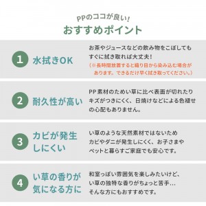 【メーカー直送】【代引不可】【日付・時間指定不可】【北海道・沖縄・離島不可】萩原 約100×200cm 折り畳める 水拭きできる畳マットレス 綾模様 シングル 159065900 (ブラウン)