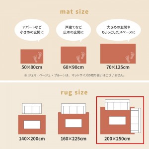 【メーカー直送】【代引不可】【日付・時間指定不可】【北海道・沖縄・離島不可】萩原 約200×250cm トルコ製 折り畳めるラグ RAKKAS グレイズ 240624212 (グレイズ)