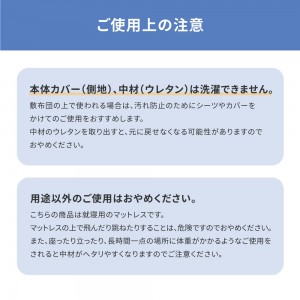 【メーカー直送】【代引不可】【日付・時間指定不可】【北海道・沖縄・離島不可】萩原 約97×201cm 点で支えるマットレス シングル 350115200