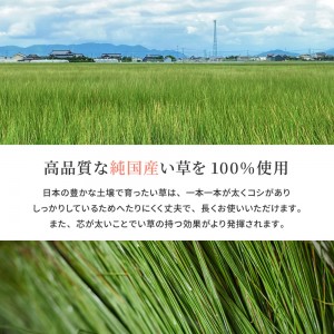 【メーカー直送】【代引不可】【日付・時間指定不可】【北海道・沖縄・離島不可】萩原 国産 約191×250cm い草ラグ 『エルモード』 81830311 (ブラウン)