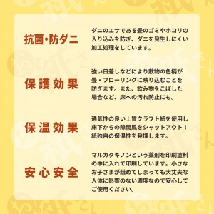 【メーカー直送】【代引不可】【日付・時間指定不可】【北海道・沖縄・離島不可】萩原 抗菌・防ダニ 3帖用 敷物用保護シート 『お紙さん』 990300559