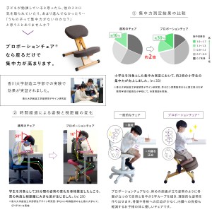 【メーカー直送】【代引不可】【日付・時間指定不可】【北海道・沖縄・離島不可】宮武製作所 背筋矯正 組立式 プロポーションチェア CH-88W-BK (ブラック)