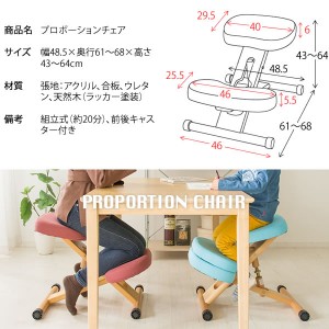 【メーカー直送】【代引不可】【日付・時間指定不可】【北海道・沖縄・離島不可】宮武製作所 背筋矯正 組立式 プロポーションチェア CH-88W-BK (ブラック)