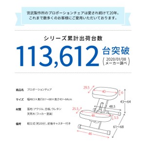 【メーカー直送】【代引不可】【日付・時間指定不可】【北海道・沖縄・離島不可】宮武製作所 背筋矯正 組立式 プロポーションチェア CH-DBR88W (ダークブラック)