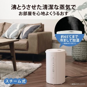 ZOJIRUSHI(象印) 3.0L 木造6畳 プレハブ10畳 スチーム式加湿器 EE-DE35-WA (ホワイト)