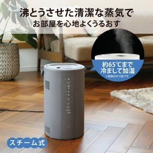 ZOJIRUSHI(象印) 4.0L 木造8畳 プレハブ13畳 スチーム式加湿器 EE-DE50-HA (グレー)