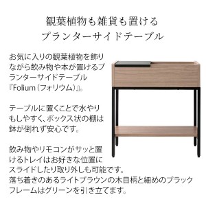 【メーカー直送】【代引不可】【日付・時間指定不可】【北海道・沖縄・離島不可】宮武製作所 幅50cm 高さ55cm スライドトレイ付き プランターサイドテーブル 『Folium（フォリウム）』 ST-5020-BR